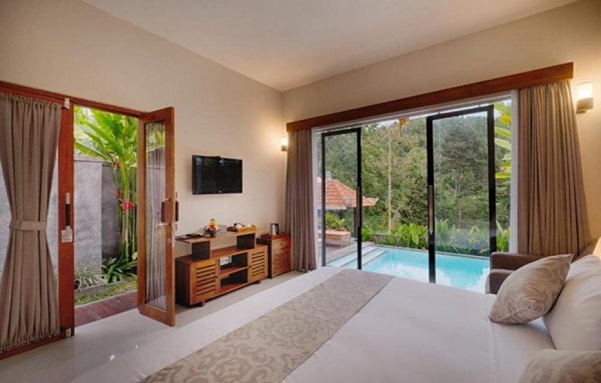 Junior Suite with Private Pool