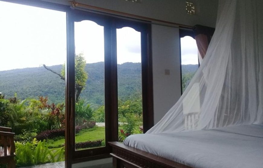 Double Room with Mountain View