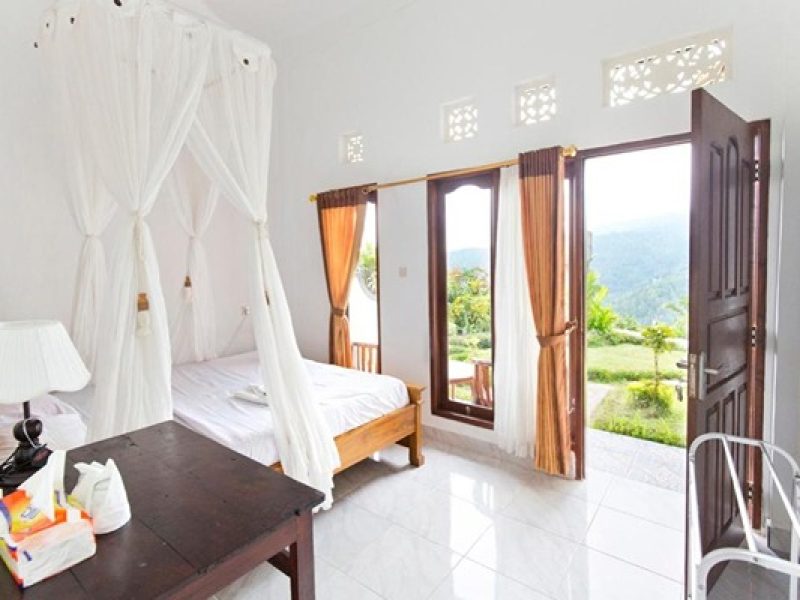 Double Room with Mountain View